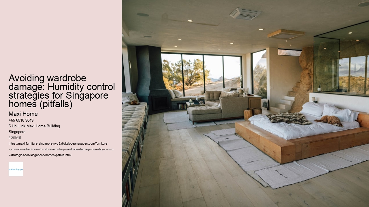 Avoiding wardrobe damage: Humidity control strategies for Singapore homes (pitfalls)